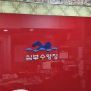 삼부스포렉스(1)