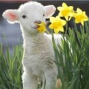 청양헬스 이미지