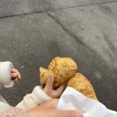 연무밀키트