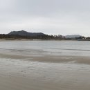 첫구지해수욕장 Daum카페