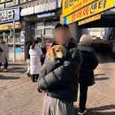 해미네집 이미지