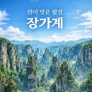 장가계 - 강남구 언주로148길 14 | 장가계