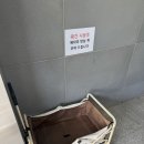 거제도 파티레지나 풀빌라 A타입 내돈내산 솔직후기 :: 10만원대 감성 숙소