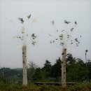 나비야 - 광진구 자양로2길 6 | 나비야