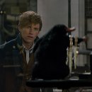 신비한동물원 이미지