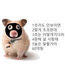 흐르는 강물을