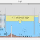 트랩 이미지