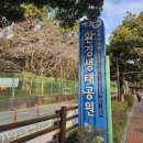 내수면환경생태공원주차장 | 2025 진해 군항제 축제 가볼만한 곳 진해내수면환경생태공원 주차장 (3/30 실시간 개화 상황)