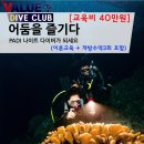 딥코스 이미지
