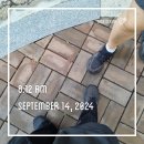 용강노인복지관 | 마포구-김포 임장 후기
