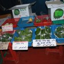 장터야채 이미지