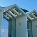 파인트리 스테이 이미지