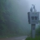 영월읍행정복지센터 이미지