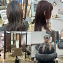 제주 아라동 미용실 엘시크헤어 핑크레드 염색