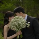 아마레웨딩