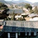 풍기향교 Daum카페