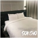 호텔모옌속초 | 속초 청초호 숙소 추천 가성비 좋은 호텔 모옌