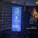 구름이 그린 달빛 | 2025 하반기 창덕궁 달빛기행 다녀온 후기