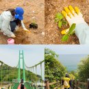 ㈜희망을심는나무 | 경북 영덕 여행 가볼만한곳 퍼티라이깅 해파랑길 21코스 블루로드 4코스