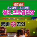 [공연일정]🎉8.29(토)~8.30(일) 청도 프로공연단🎉 이미지