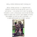 아라쭈꾸미 이미지