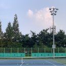 한솔동 축구장 | 세종시 조치원 테니스장 예약 방법 및 상세 후기