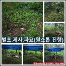 유공수지 | 비 오는날...염쟁이강씨의 국가유공자(이장)-이천 호국원(안장) 원스톱 진행!!! 후기에요