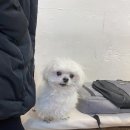 세븐일레븐화양가중공원길점 | 화양동 카페, 카페샬롬