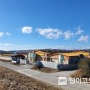 영천축산 이미지