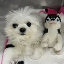 놀토PC방 | 2026.02