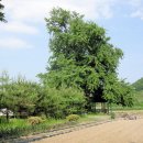 신당리 티스토리