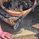 부부카클리닉 이미지