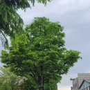 매산3가 이미지