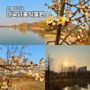 마곡8 열린숲어린이집 | 서울식물원 마곡나루 호수원에서 주제원 앞 실시간 매화까지