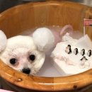 온블리살롱 이미지