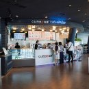 투데이즈푸드 이미지