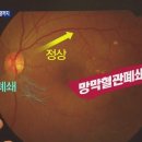 닥터스안경원 이미지