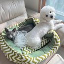 사랑애동물메디컬센터 이미지