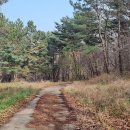 섬마을목장 이미지