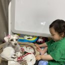 크로스핏 팔팔 이미지