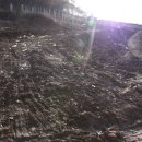 주철농장 이미지