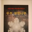 생명나무