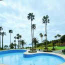 서귀포칼호텔사우나 | 제주 서귀포 호텔 추천｜정원 산책이 아름다운 서귀포칼호텔 숙박 후기