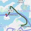 한화국제상무센터 | 호주 코카투 아일랜드 워터프론트 캠핑장 후기 (시드니 멜버른 로드트립 15일차)