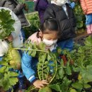 고골농장 이미지