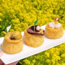 (주)리앤최투어 이미지