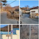 수수네숲 이미지