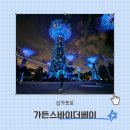 우정슈퍼 | 싱가포르 혼자여행코스 가든스바이더베이 가는법 스카이웨이 입장권 슈퍼트리쇼