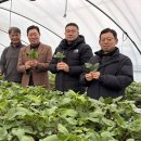 서부여농업협동조합 이미지