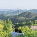 (주)에어포레스트 이미지